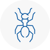 Ant Removals In Highbridge