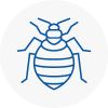 Bed Bug Extermination In Highbridge
