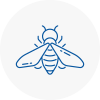 Bee Nest Removal Highbridge
