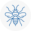 Highbridge Hornet Nest Removals