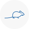 Mice Exterminators In Highbridge
