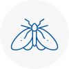 Moth Control Specialists In Highbridge