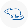Rat Control Highbridge