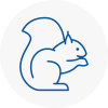 Highbridge Rodent Removals